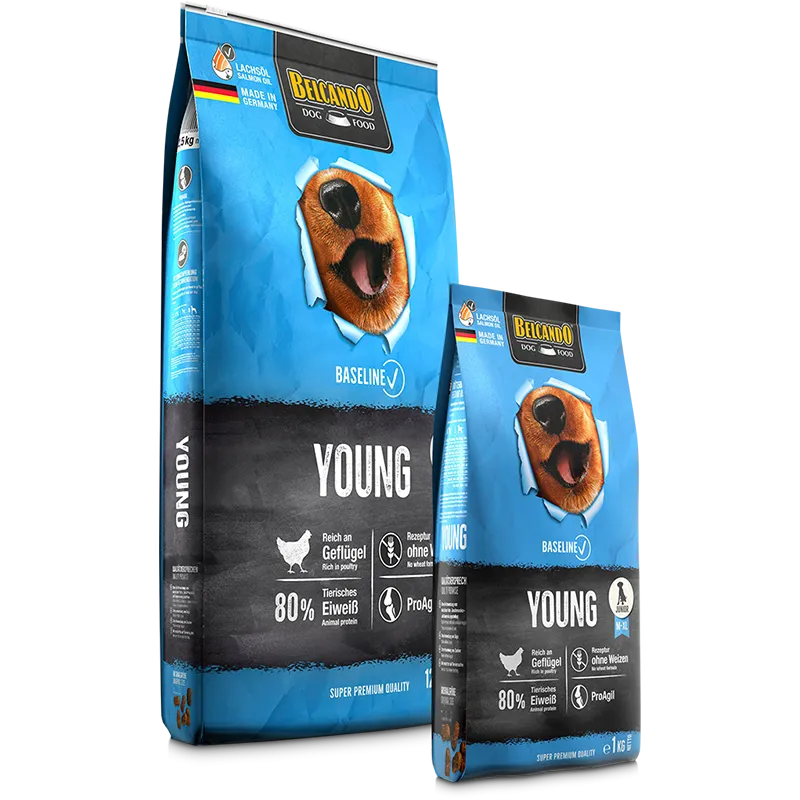 Belcando Baseline Young (1kg/12.5kg)