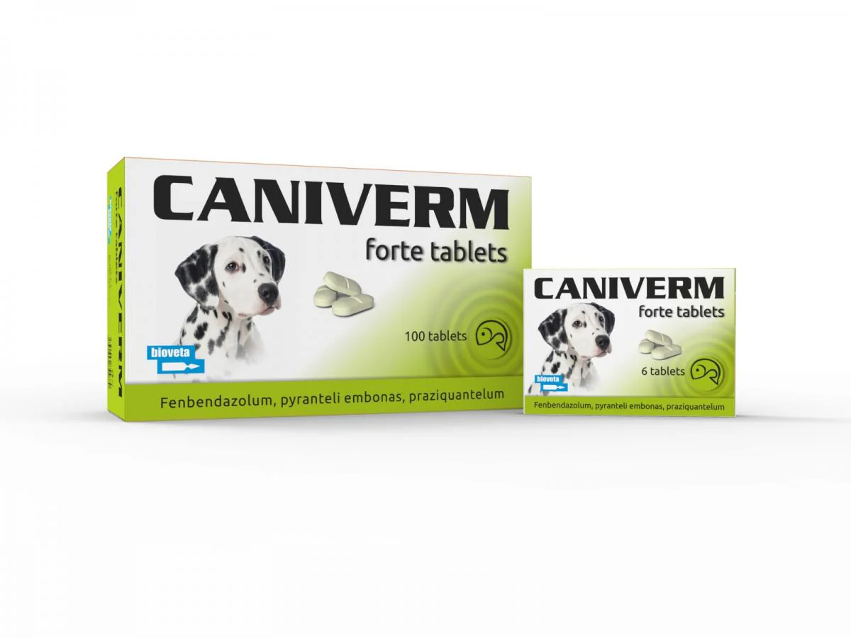 CANIVERM FORTE (1 TABLET)