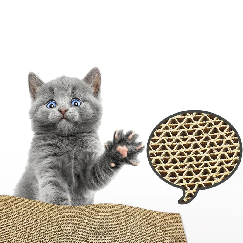 Cat mat scratcher with catnip - Image 4