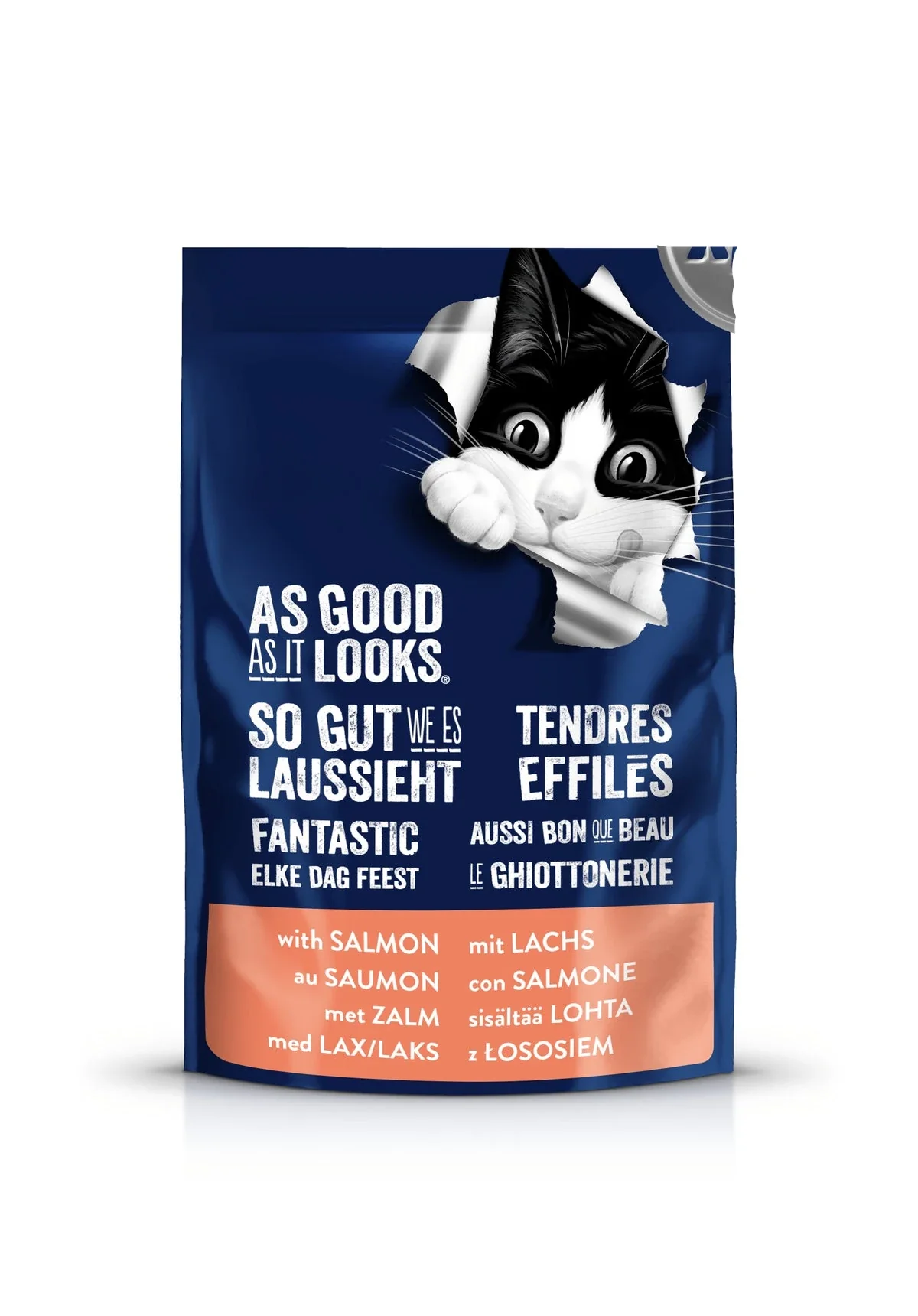 Felix As Good As It Looks Salmon Cat Food 100g