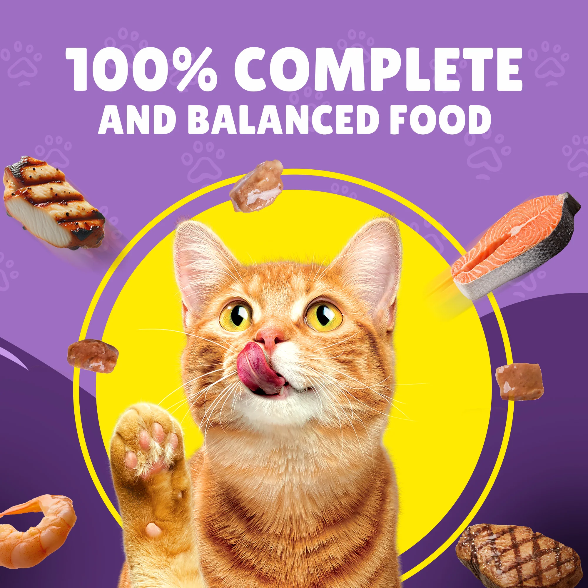 FRISKIES Beef in Gravy Wet Cat Food 85g - Image 3