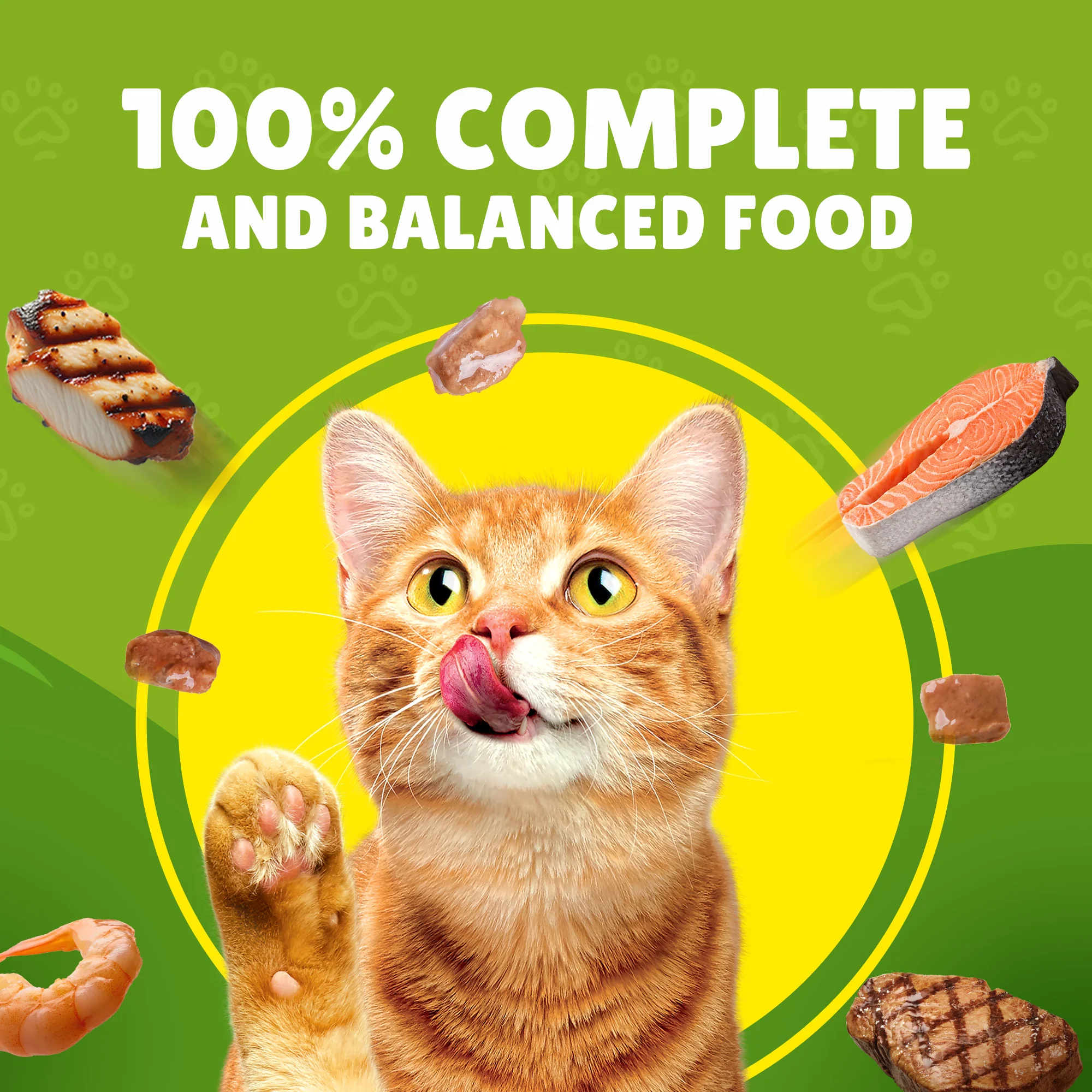 FRISKIES Chicken in Gravy Wet Cat Food 85g - Image 3