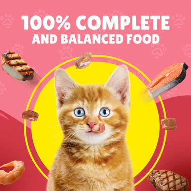 Friskies Junior With Chicken In Gravy Wet Cat Food 85g - Image 3