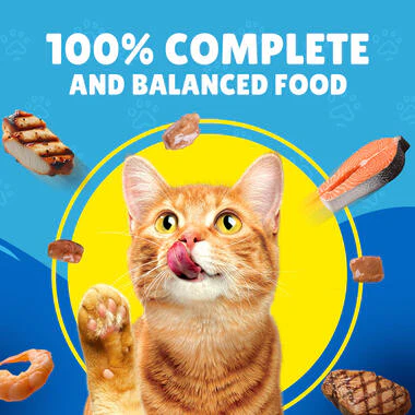 Friskies With Salmon In Gravy Wet Cat Food 85g - Image 3