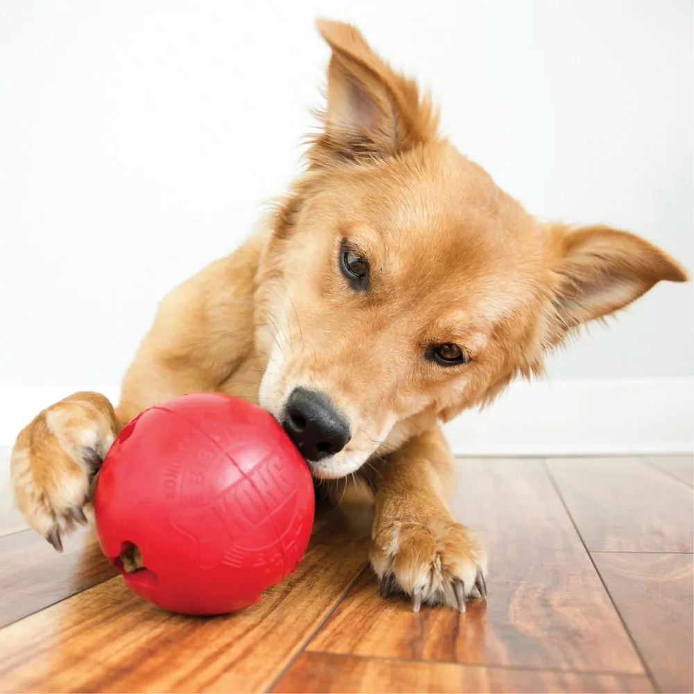 Kong Biscuit Ball _red - Image 3