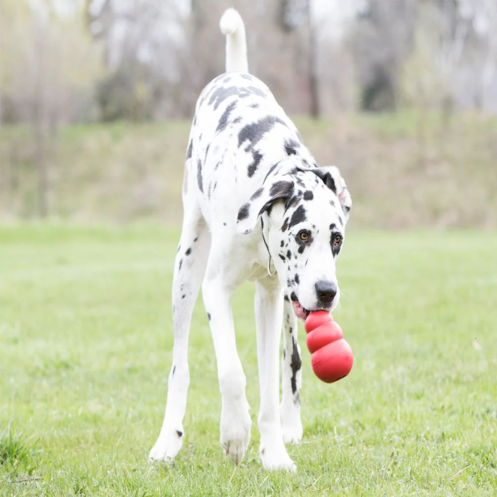 Kong Extreme XXL - Image 8