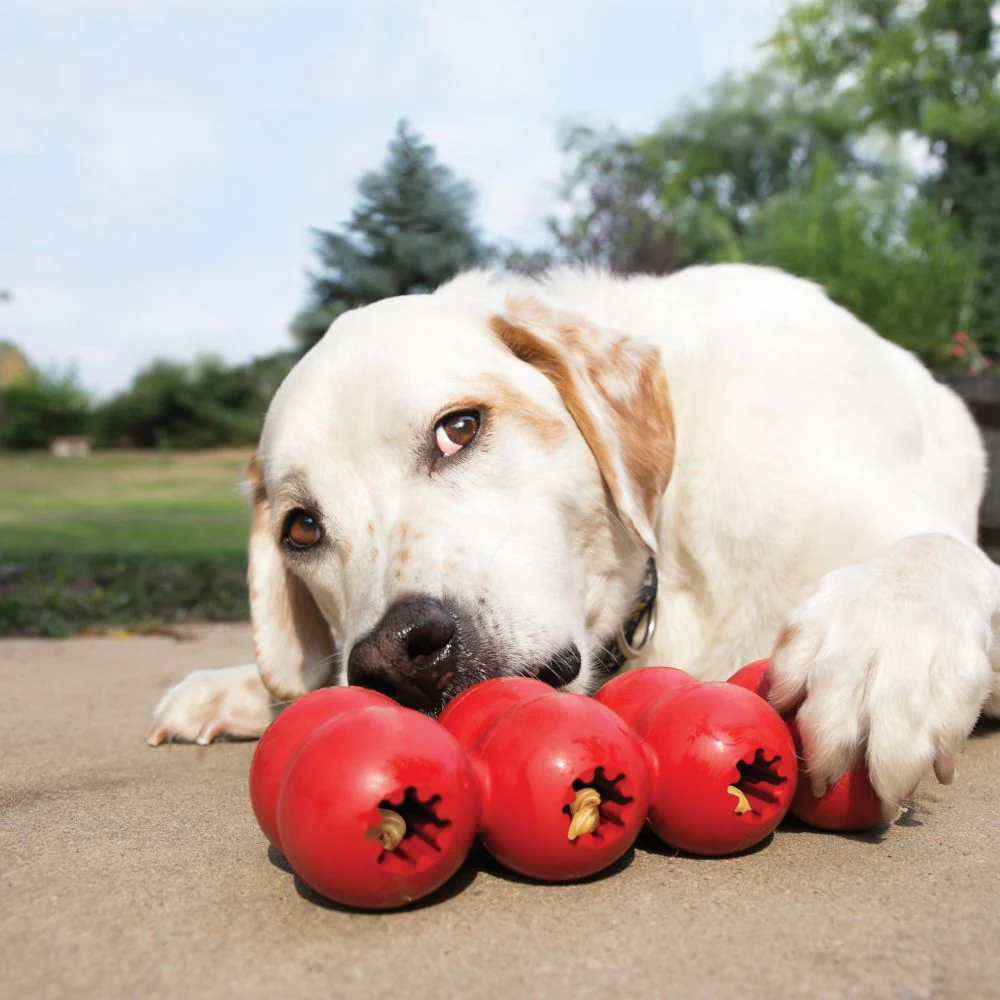 Kong Goodie Ribbon Large –red - Image 3