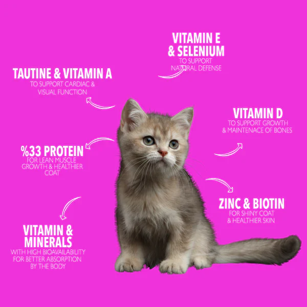 Legends For Kitten Dry Food (1kg/3kg) - Image 3