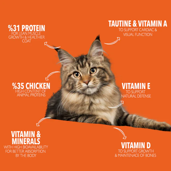 Legends Wholesome Chicken Feed For Adult Cats (1kg/3kg/10kg) - Image 3