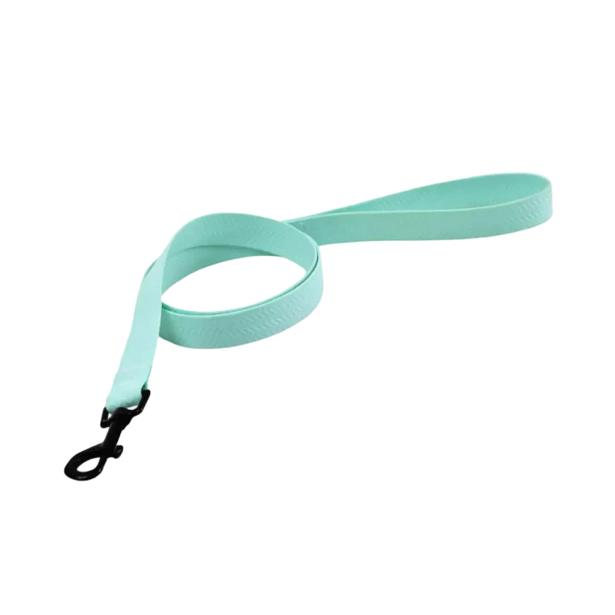 Naomi Pet leash – YL109794-M