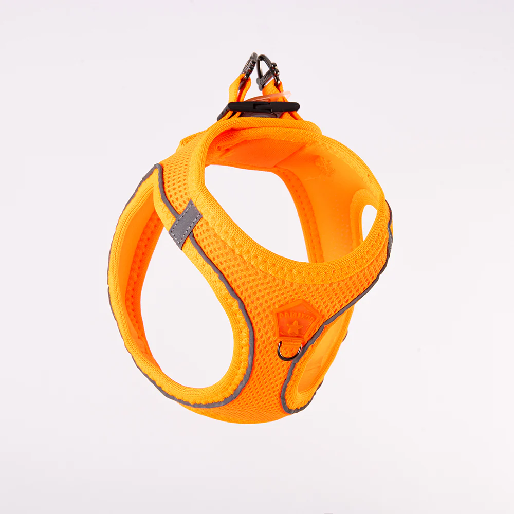 Pawstar Air-Mesh 2XS - Image 4