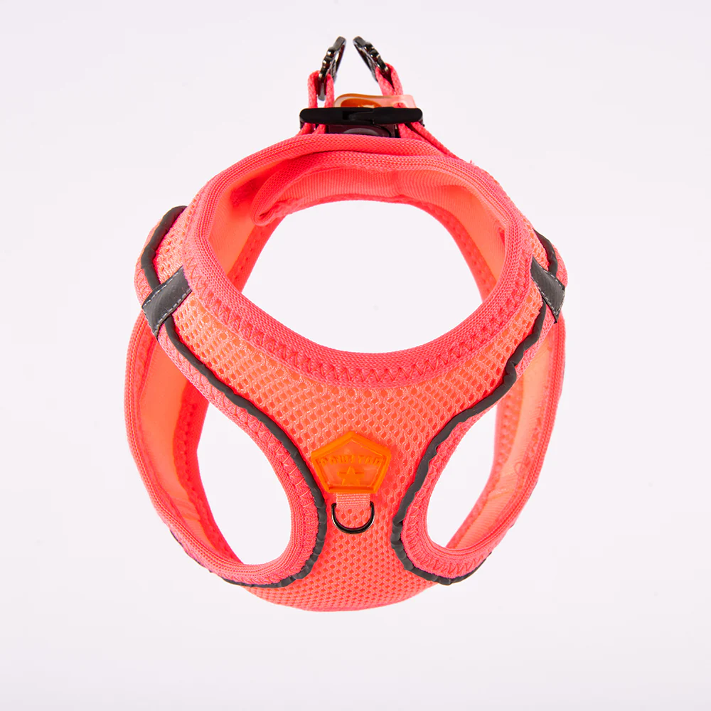 Pawstar Air-Mesh XL - Image 2