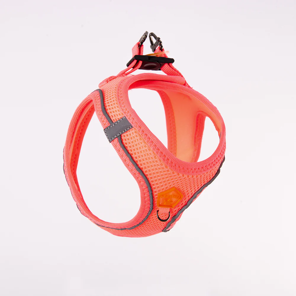 Pawstar Air-Mesh XL - Image 3