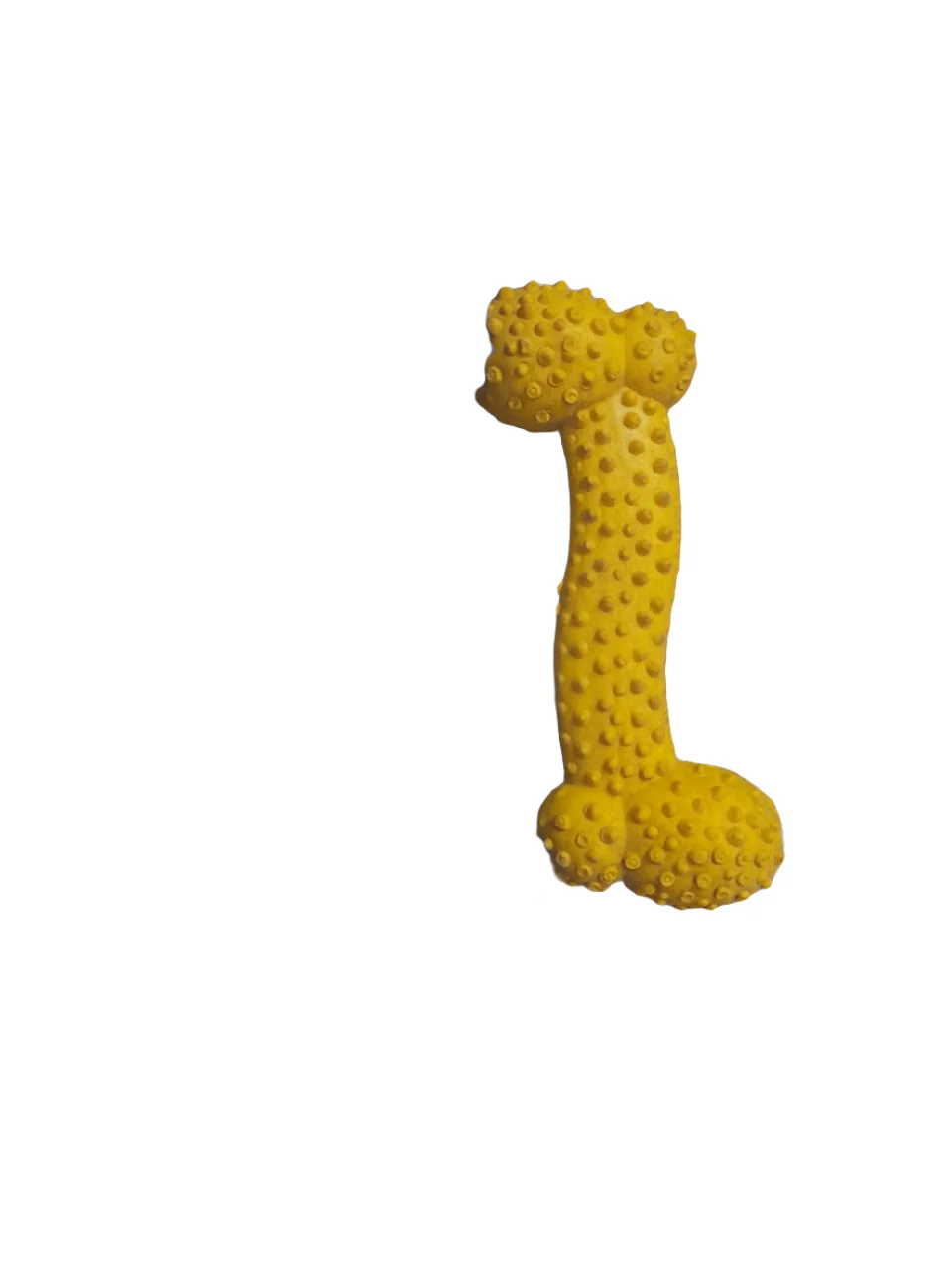 Pet Chew Bone Toy - Image 2