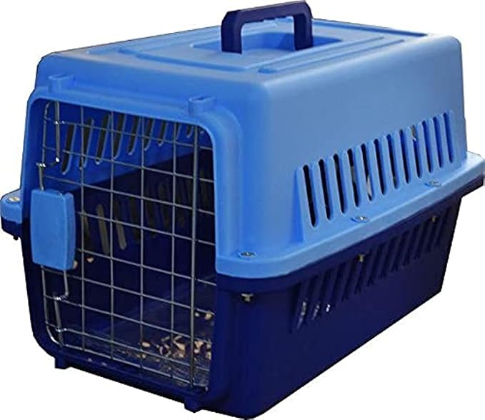Pet Radwan  Box large