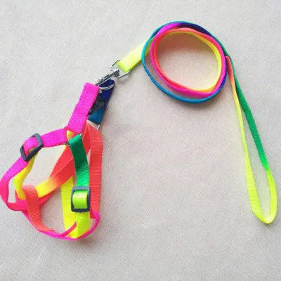 PET's Harness with Leash Set_Colorful Nylon - Image 3