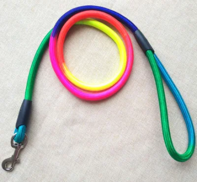 PET's Harness with Leash Set_Colorful Nylon - Image 4