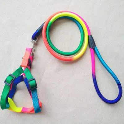 PET's Harness with Leash Set_Colorful Nylon - Image 5