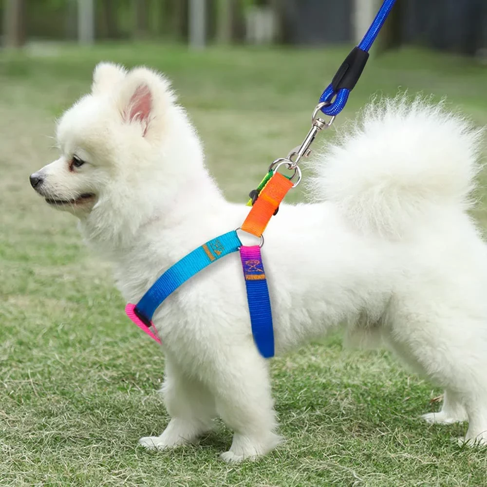 PET's Harness with Leash Set_Colorful Nylon - Image 7