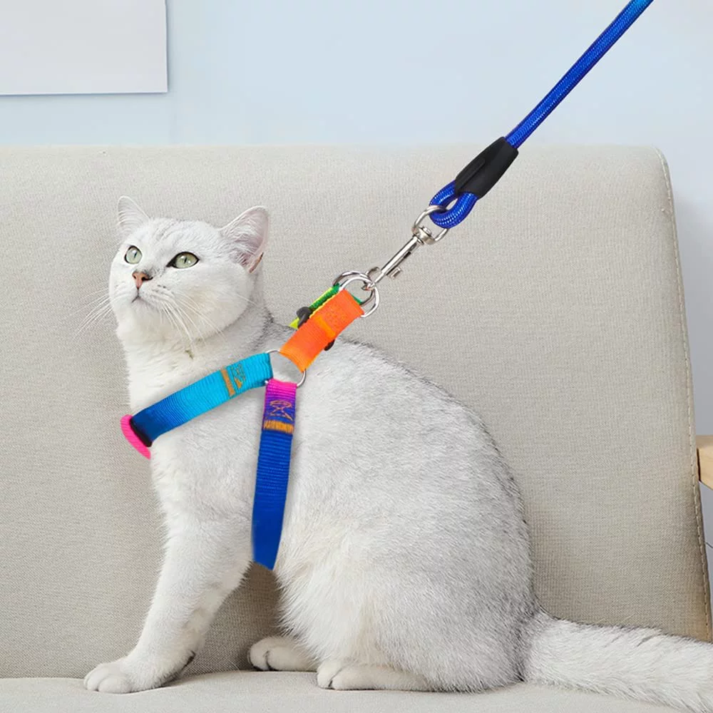 PET's Harness with Leash Set_Colorful Nylon - Image 8