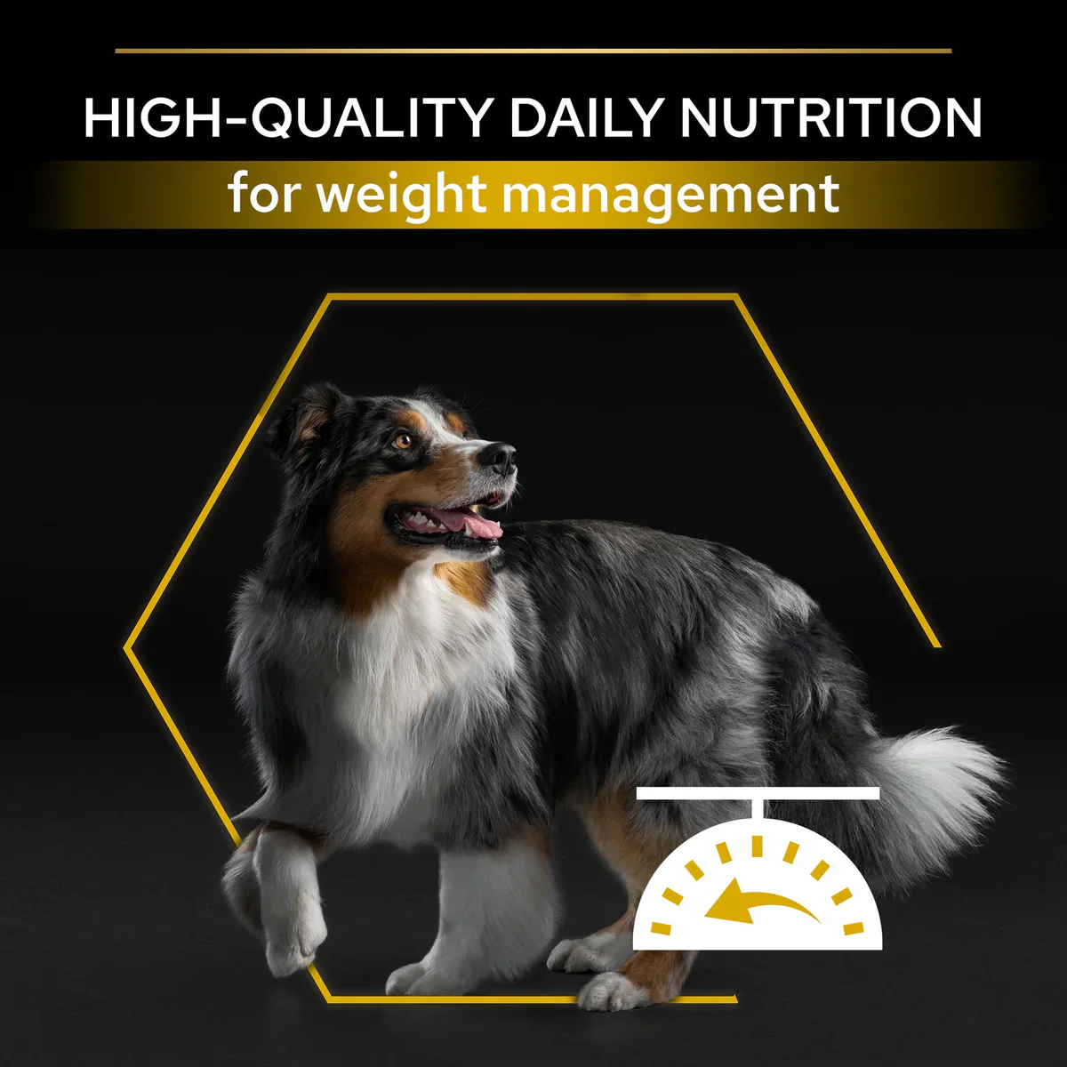 PURINA® Pro Plan® All Sizes Adult Light / Sterilised with OPTIWEIGHT®, Rich in Chicken Dry Dog Food - 3 KG - Image 7