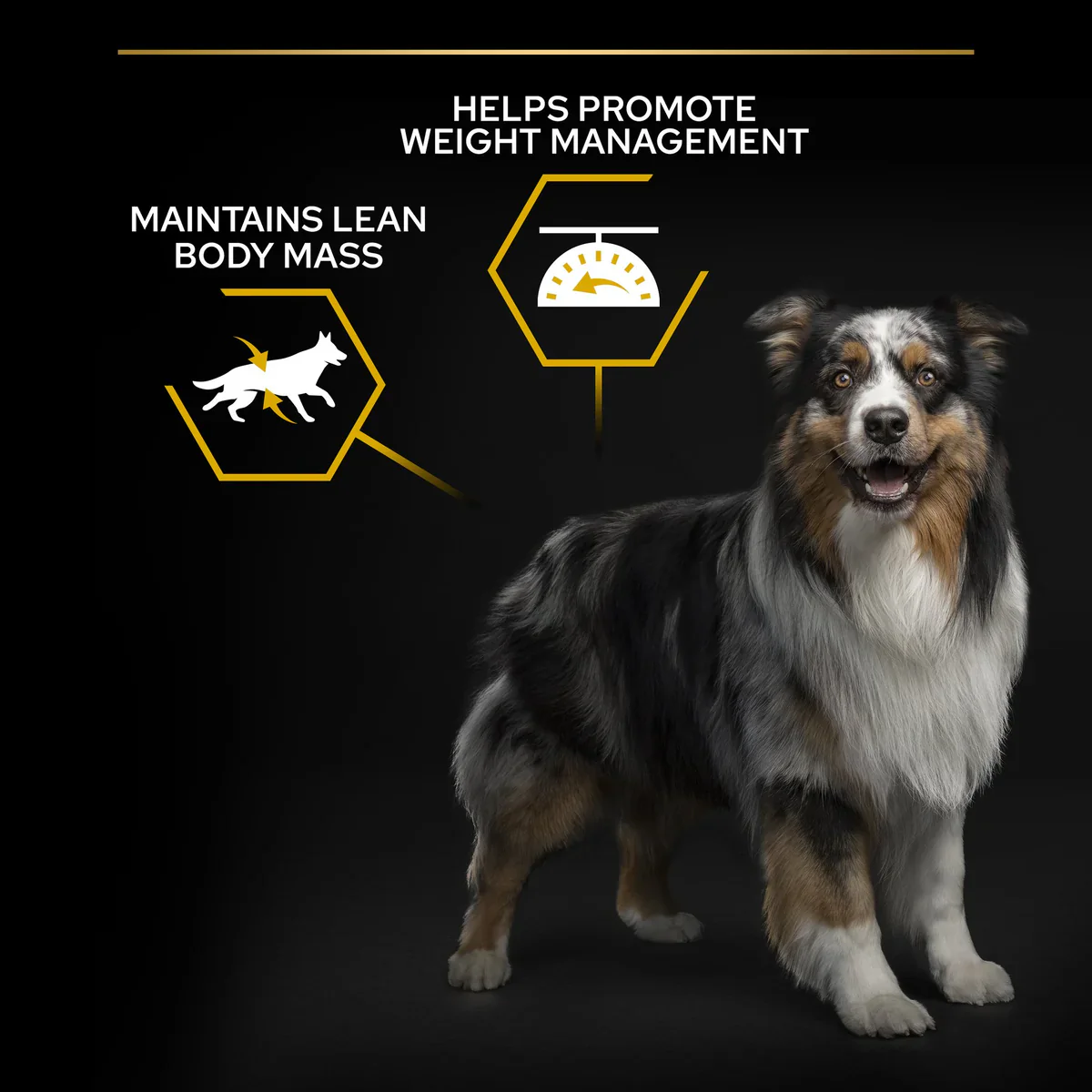 PURINA® Pro Plan® All Sizes Adult Light / Sterilised with OPTIWEIGHT®, Rich in Chicken Dry Dog Food - 3 KG - Image 8
