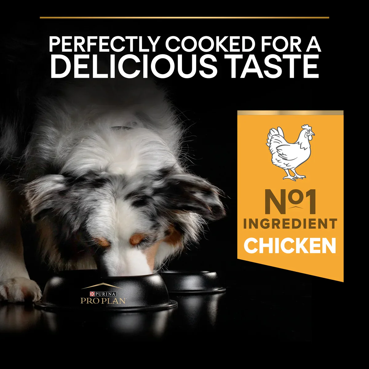 PURINA® Pro Plan® All Sizes Adult Light / Sterilised with OPTIWEIGHT®, Rich in Chicken Dry Dog Food - 3 KG - Image 9