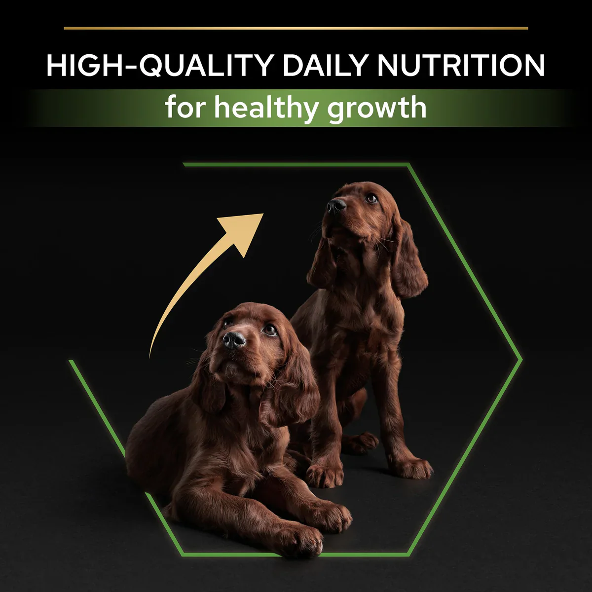 Pro Plan Healthy Start Large Athletic Puppy, Dry Dog food with Chicken 3kg/12kg - Image 3