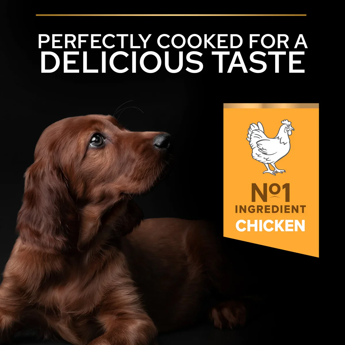 Pro Plan Healthy Start Large Athletic Puppy, Dry Dog food with Chicken 3kg/12kg - Image 4