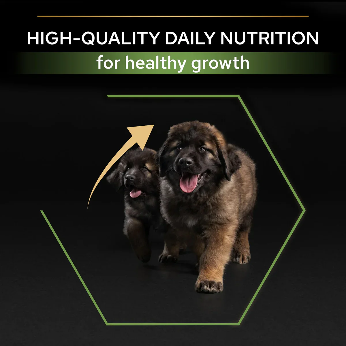 Pro Plan Healthy Start Large Robust Puppy, Dry Dog food with Chicken 3kg/12kg - Image 7