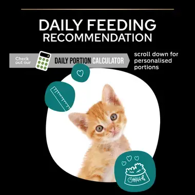 PURINA® PRO PLAN® Original Kitten 1-12 months Rich in chicken - (400G-1.5 KG) - Image 3