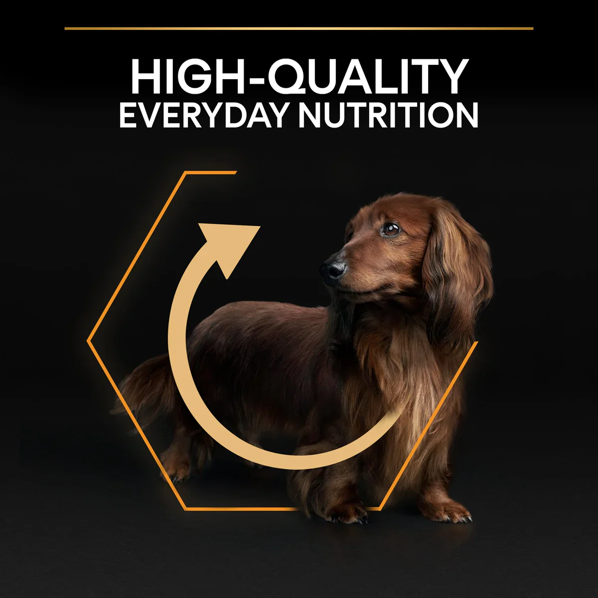 PURINA® PRO PLAN® Small & Mini Adult with OPTIBALANCE®, Rich in Chicken Dry Dog Food - 3 KG - Image 3