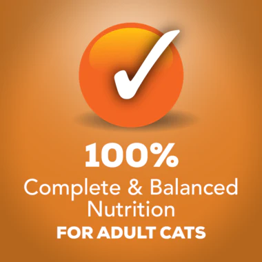 Purina Friskies Extra Gravy Chunky With Chicken In Savory Gravy Wet Cat Food 156g - Image 4