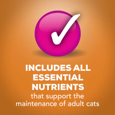 Purina Friskies Extra Gravy Chunky With Chicken In Savory Gravy Wet Cat Food 156g - Image 5