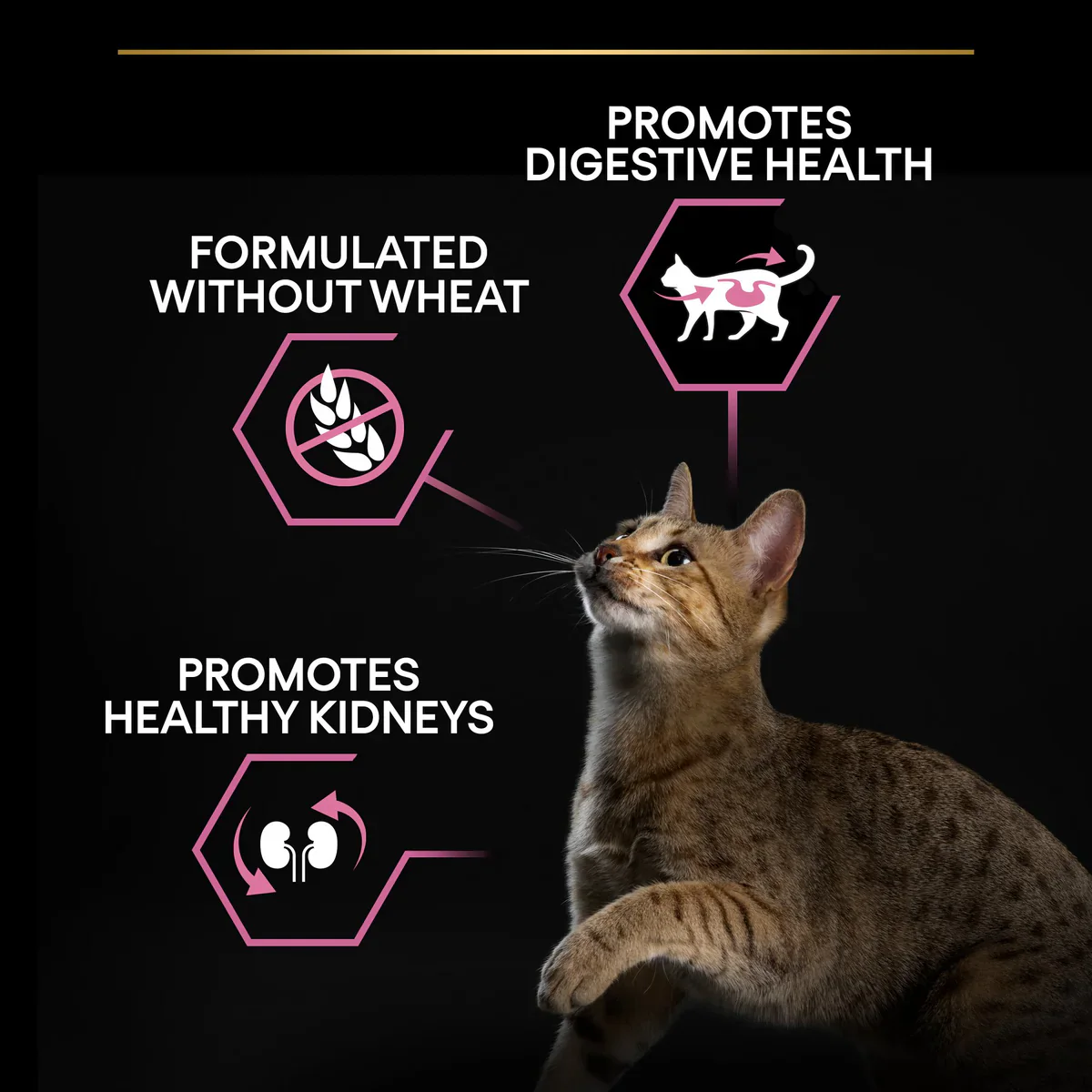 PURINA PRO PLAN Delicate Digestion Adult - Rich in Turkey Dry Cat Food - 1.5 KG - Image 2