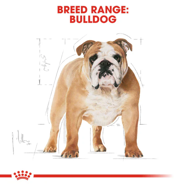 Royal Canin Bulldog Adult (3KG) - Dry food for adult dogs over 12 months - Image 2