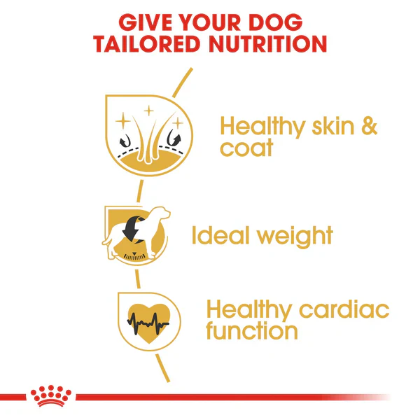 Royal Canin Cocker Adult (3 KG) - Dry food for adult Cocker dogs over 12 months - Image 4