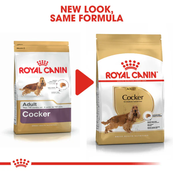 Royal Canin Cocker Adult (3 KG) - Dry food for adult Cocker dogs over 12 months - Image 7