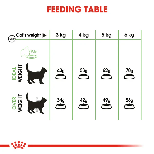 Royal Canin – Digestive Care Dry Food – for Adult Cats – Helps Support Healthy Digestion 400g /2kg /10kg - Image 4