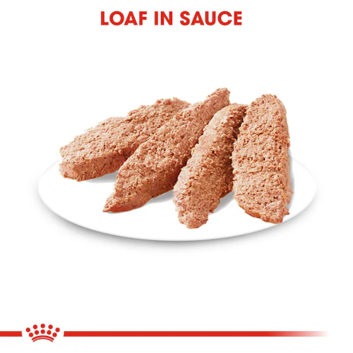 Royal Canin Digestive Care -wet food loaf for adult Dogs (85gm / Pouch) - Image 2