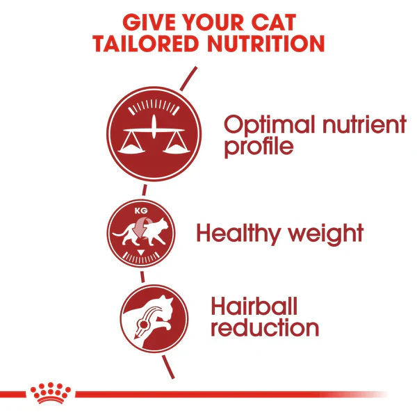 Royal Canin Fit 32 Dry food for cats ( 400g/2kg/4kg/10kg/15kg) - Image 3