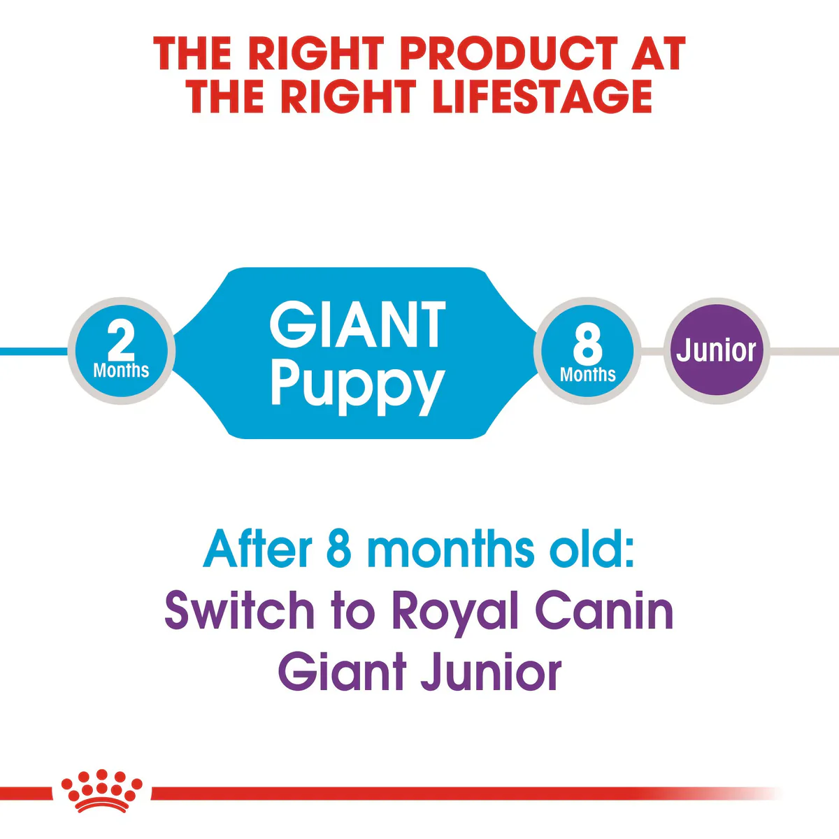 Royal Canin Giant Puppy (3.5 KG/15kg) - Dry food for giant dogs. Adult weight from 45 KG and over - from 2 to 8 months old - Image 3