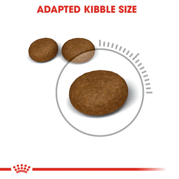 Royal Canin Hair & Skin Care _ Dry food for adult cats 400g/2kg/ 4kg /10kg - Image 3
