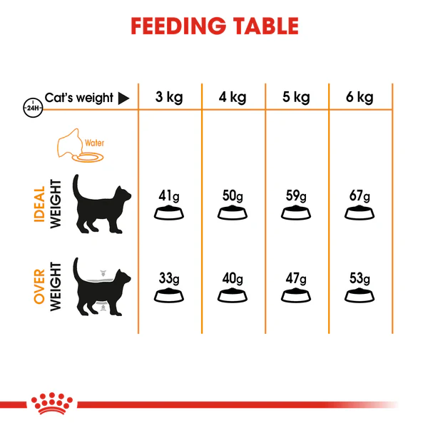 Royal Canin Hair & Skin Care _ Dry food for adult cats 400g/2kg/ 4kg /10kg - Image 4