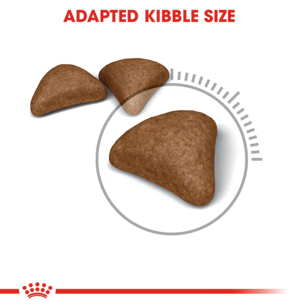 Royal Canin Hairball care – Dry food for adult cats – helps reduce hairball formation(400gr/2kg) - Image 2