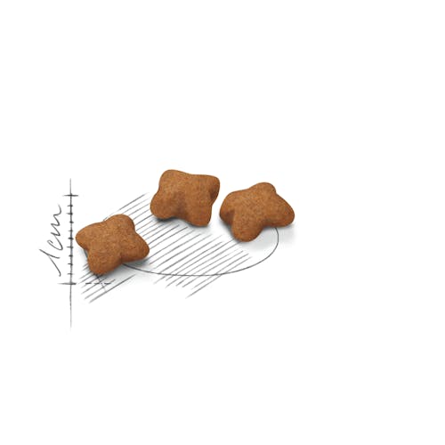 Royal Canin Kitten Sterilised _Dry food for neutered kittens (from 6 to 12 months old) 2 kg - Image 3