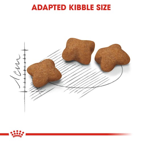 Royal Canin Kitten Sterilised _Dry food for neutered kittens (from 6 to 12 months old) 2 kg - Image 6
