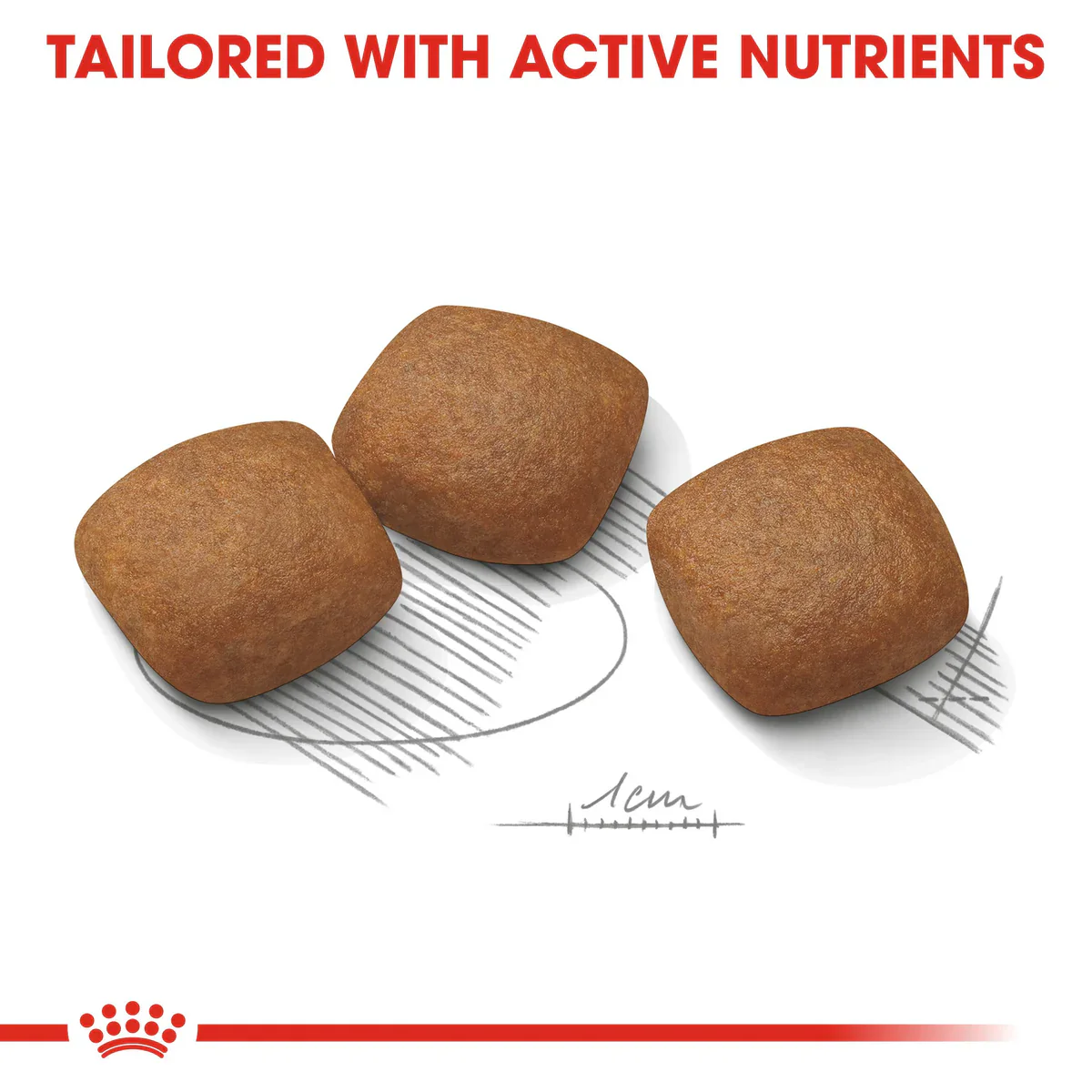 Royal Canin Maxi Joint Care (10 KG)- Dry Food for large dogs from 26 to 44 KG prone to joint sensitivity. Over 15 months - Image 2