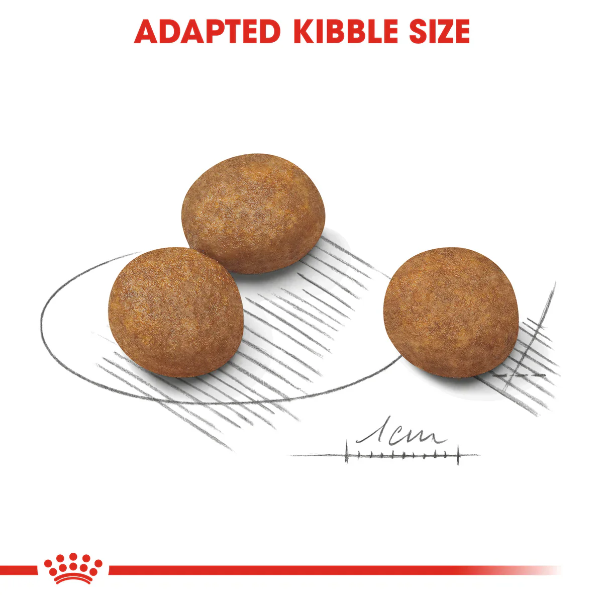 Royal Canin Maxi Puppy (4KG/16kg) - Dry food for large dogs - Adult weight from 26 to 44 KG. From 2 to 15 months - Image 2
