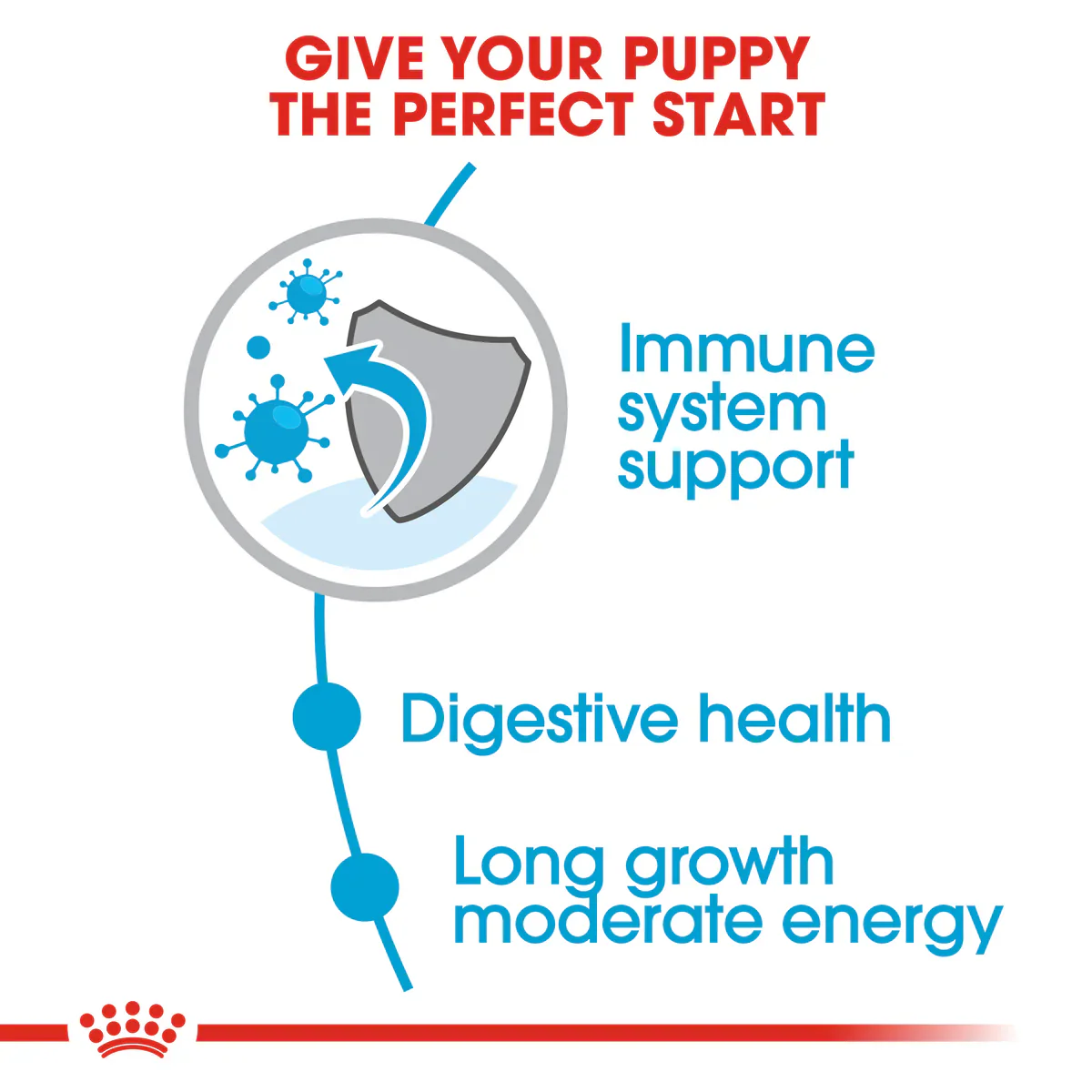 Royal Canin Maxi Puppy (4KG/16kg) - Dry food for large dogs - Adult weight from 26 to 44 KG. From 2 to 15 months - Image 5